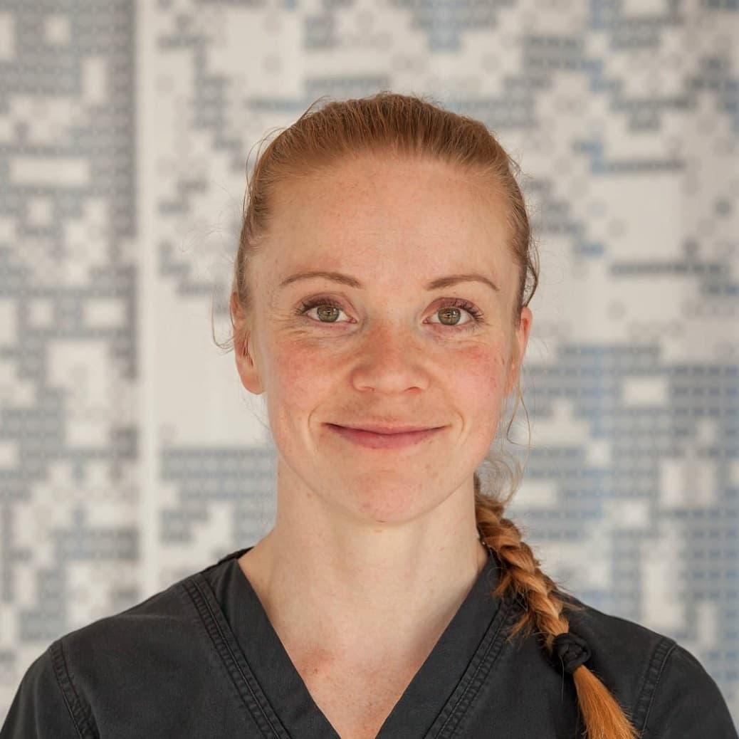 Anna-Kaisa Sivonen  — Pihlajalinna