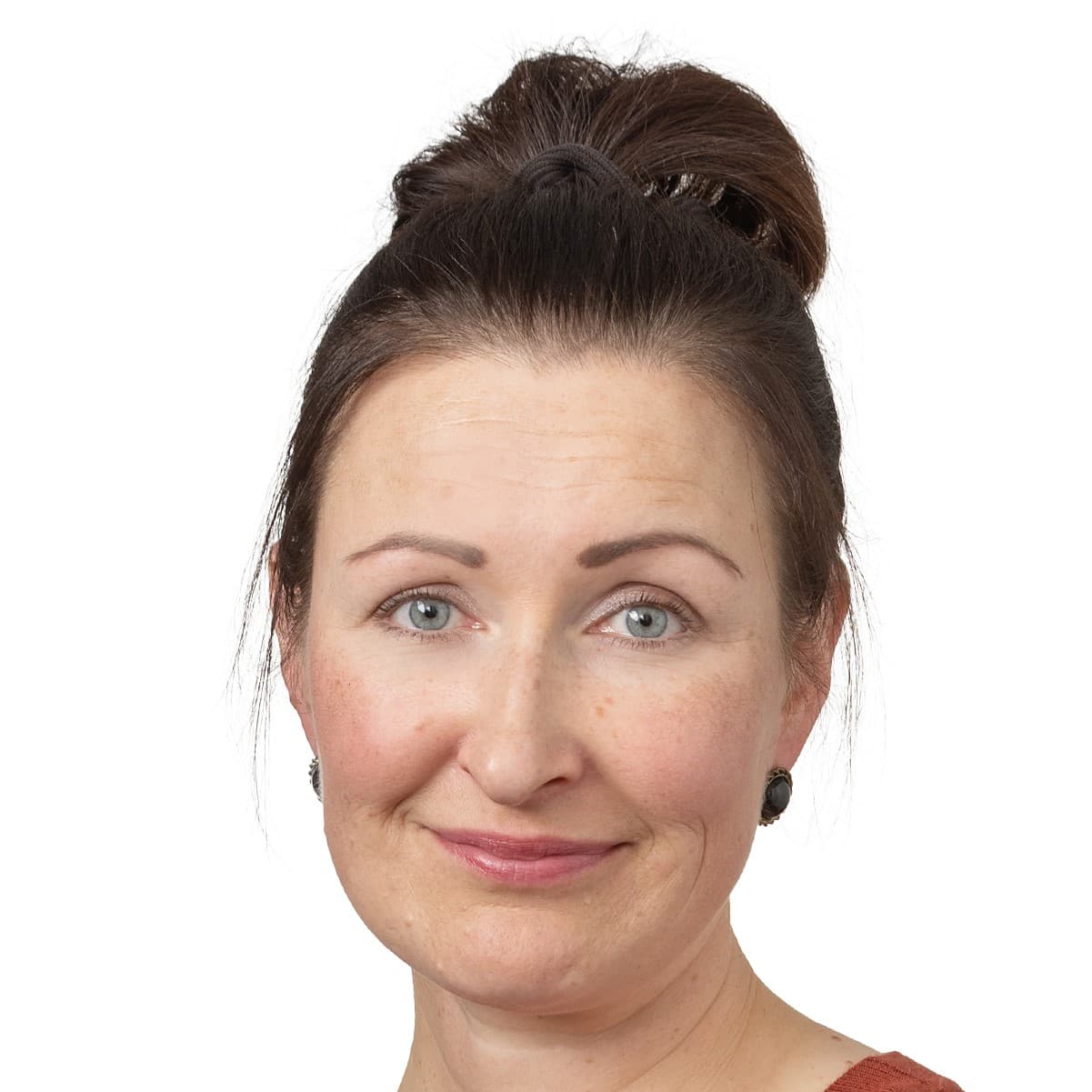 Hannele Lammi  — Pihlajalinna