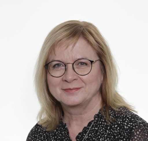 Anne Vanha-Perttula — Pihlajalinna