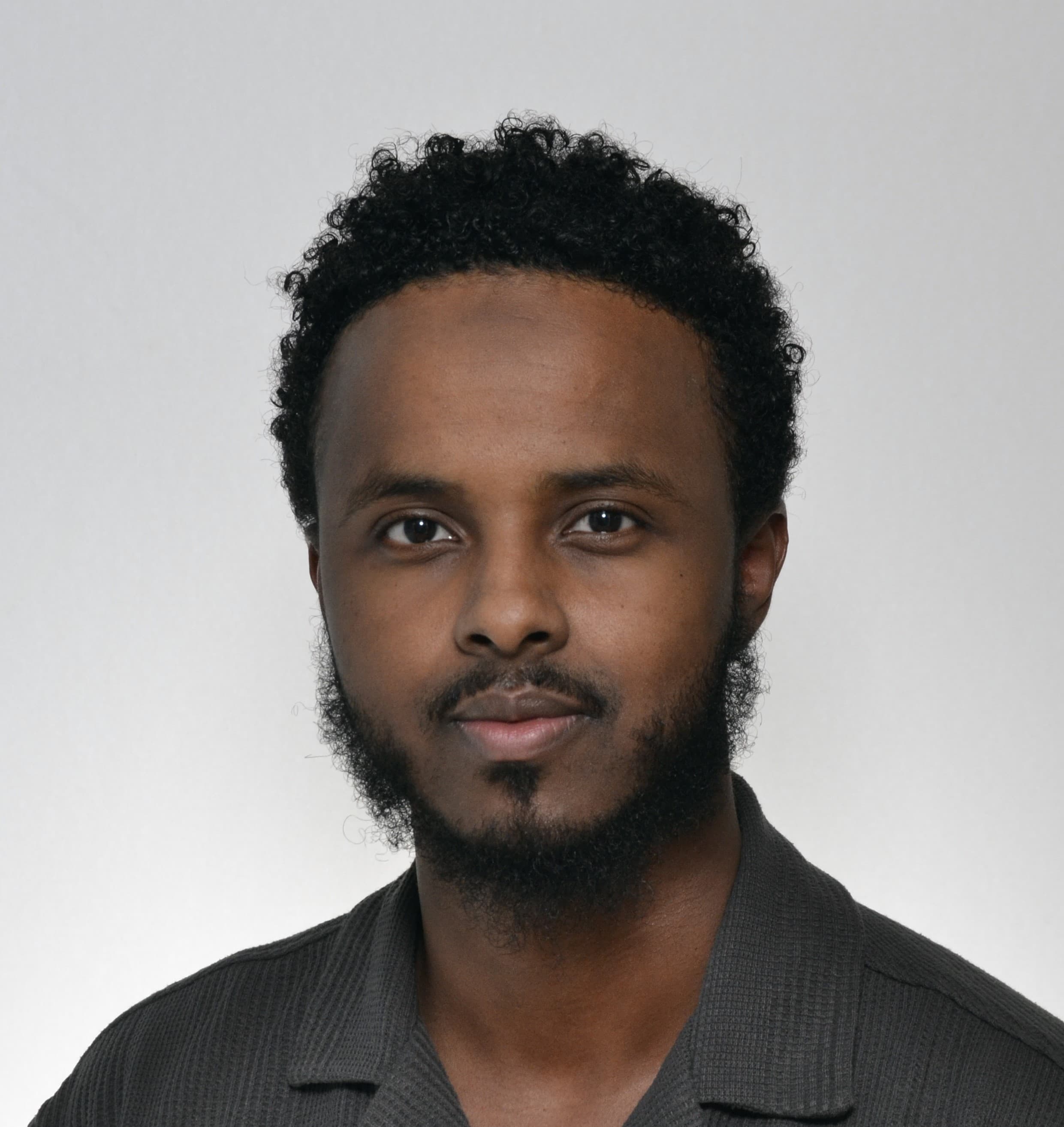 Hamza Daud — Pihlajalinna